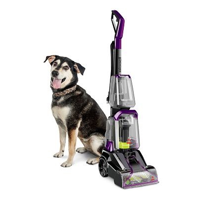 pet vacuum cleaner